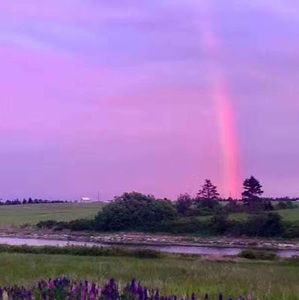 Meet your Posher, Lannia